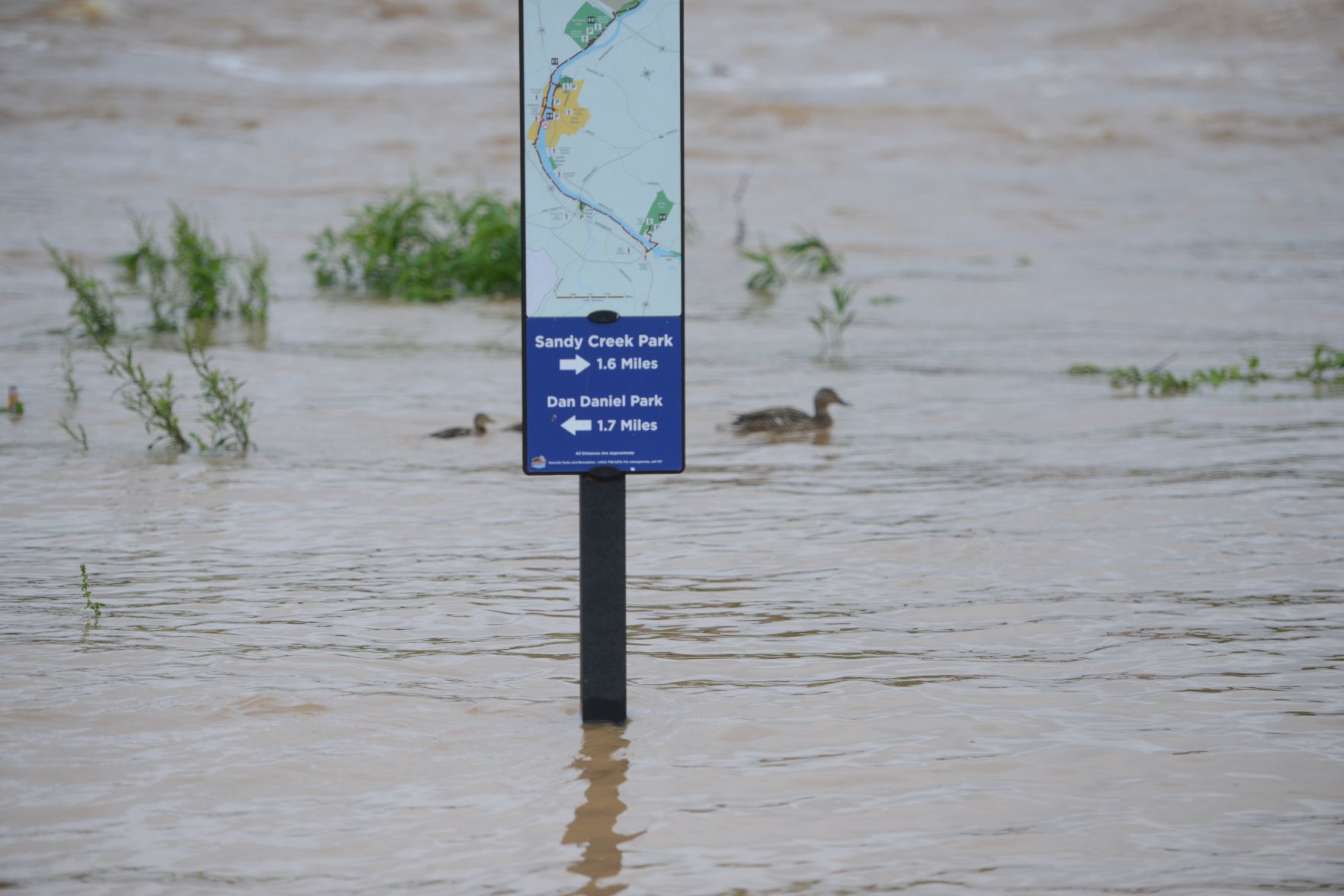 Flood